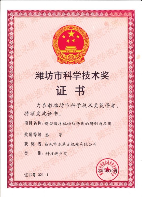 【喜訊】龍港硅業公司喜獲濰坊市科技進步獎一等獎!